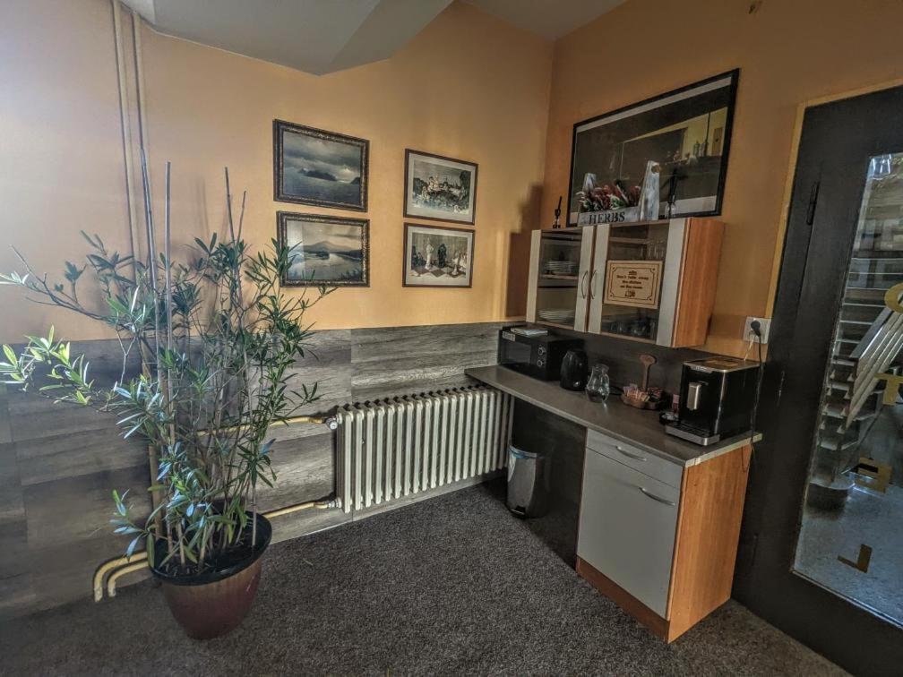 Hotel Alfa Трутнов Экстерьер фото