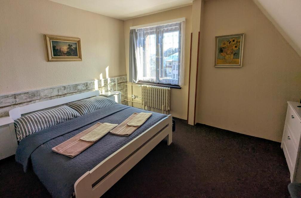 Hotel Alfa Трутнов Экстерьер фото